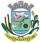 Foto da Cidade de Araguapaz - GO
