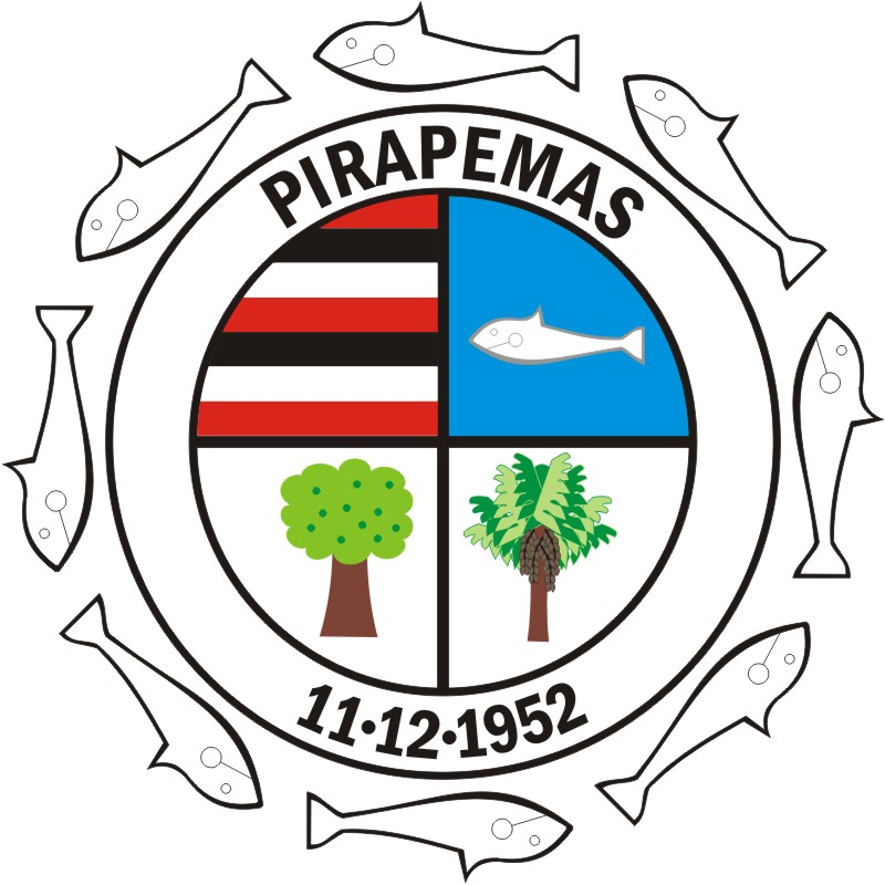Foto da Cidade de Pirapemas - MA