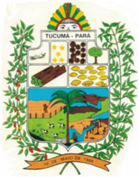 Foto da Cidade de Tucumã - PA