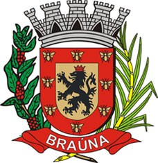 Foto da Cidade de Braúna - SP
