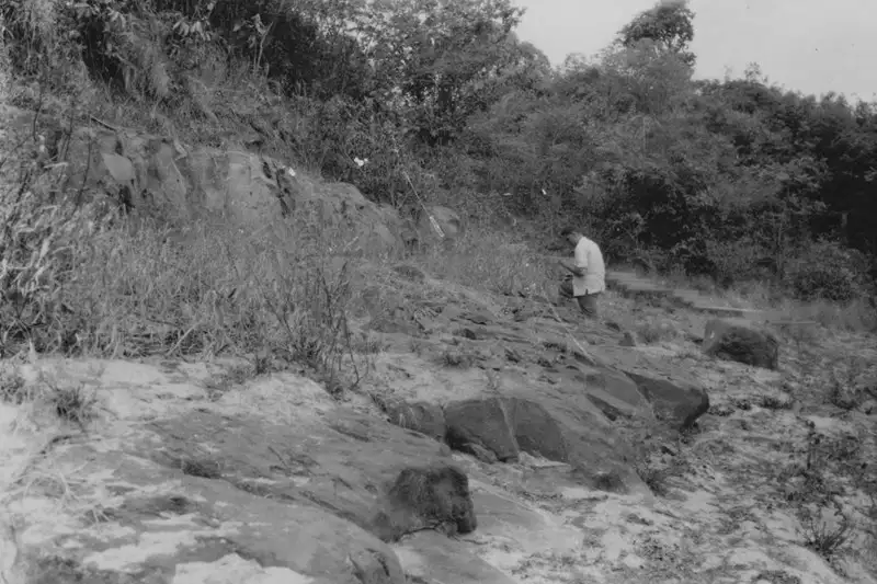 Foto 70: Afloramento de arenitos à margem esquerda do Rio Branco (RR)