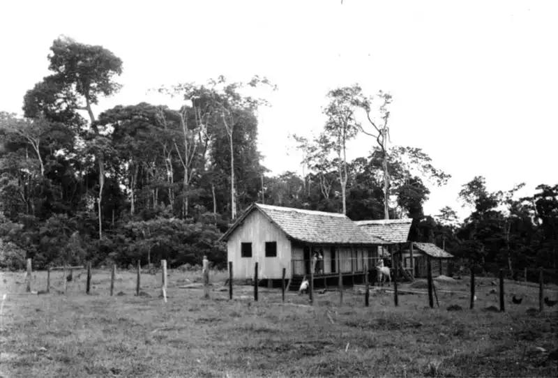 Foto 208: Casa de seringueiro feita de tábua perto de Rio Branco (AC)