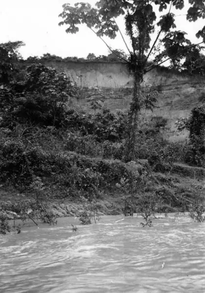 Foto 4: Barranco na Fazenda Corcovado em Tarauacá (AC)