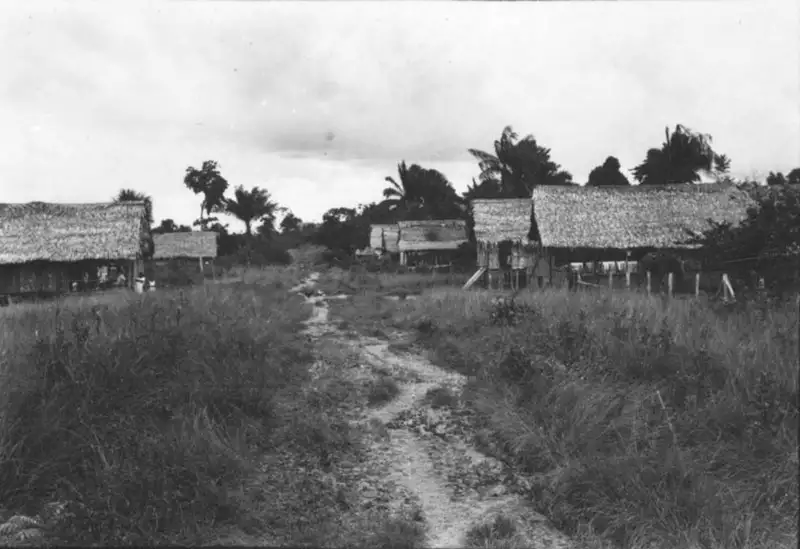 Foto 19: Casa da Colônia Marechal Hermes em Tarauacá (AC)