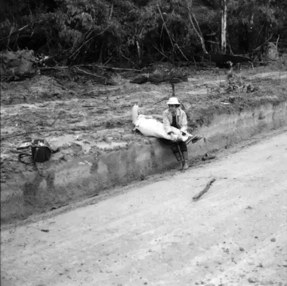 Foto 14: Acidente com a Willis Rural do Prof. Glaser na estrada Rio Branco-Xapuri : município de Xapuri