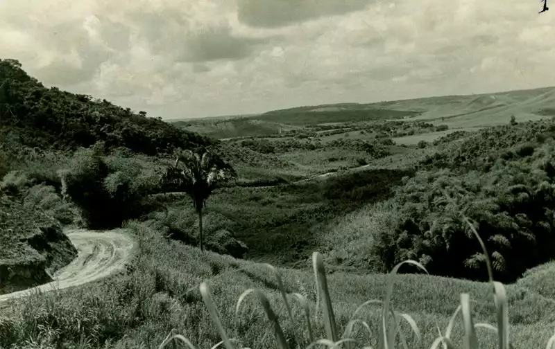 Foto 2: Vista panorâmica do Vale do Paraíba : Capela, AL