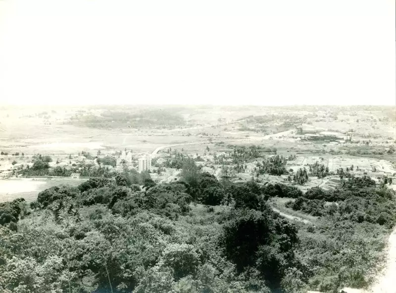 Foto 13: Vista parcial da cidade : São Miguel dos Campos, AL