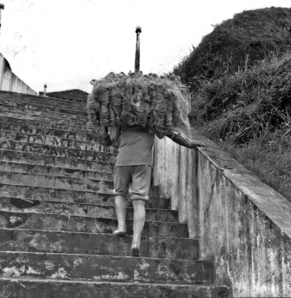 Foto 41: Caboclo transportando fardos de juta no Porto de Borba (AM)