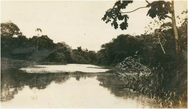 Foto 13: Confluência do Igarapé do Remanso com o Rio Juruá : Carauari (AM)