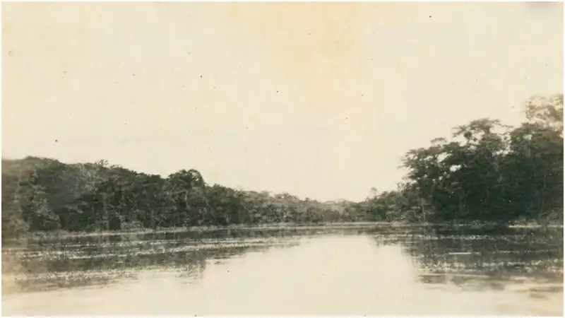 Foto 14: Confluência do Igarapé Chafarrascado com o Rio Juruá : Carauari (AM)