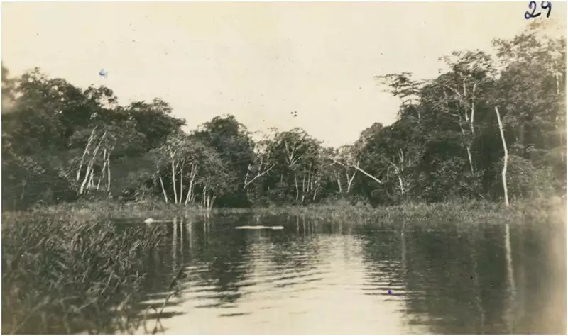 Foto 16: Confluência do Igarapé Pereira com o Rio Juruá : Carauari (AM)
