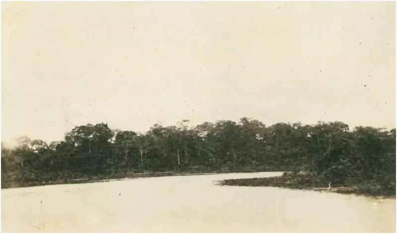 Foto 18: Confluência do Igarapé Jainú com o Rio Juruá : Carauari (AM)