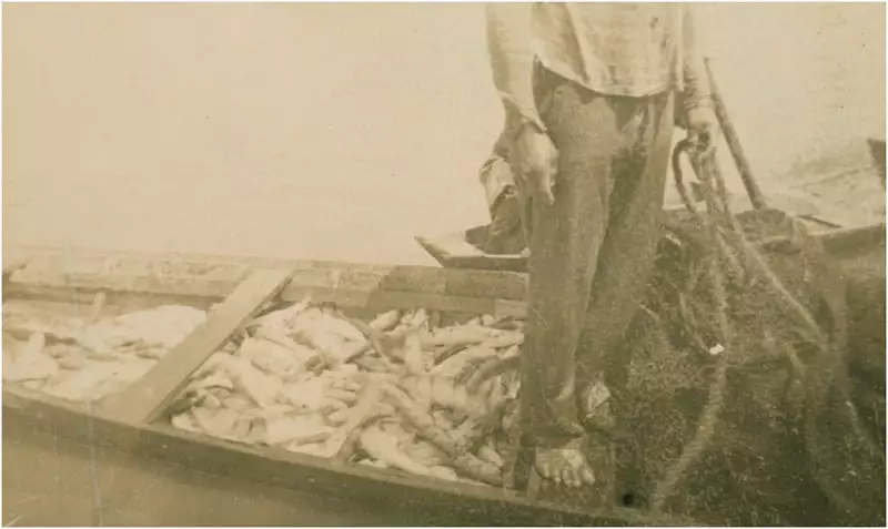 Foto 1: Canoa de pescador : Rio Negro : Careiro da Várzea (AM)