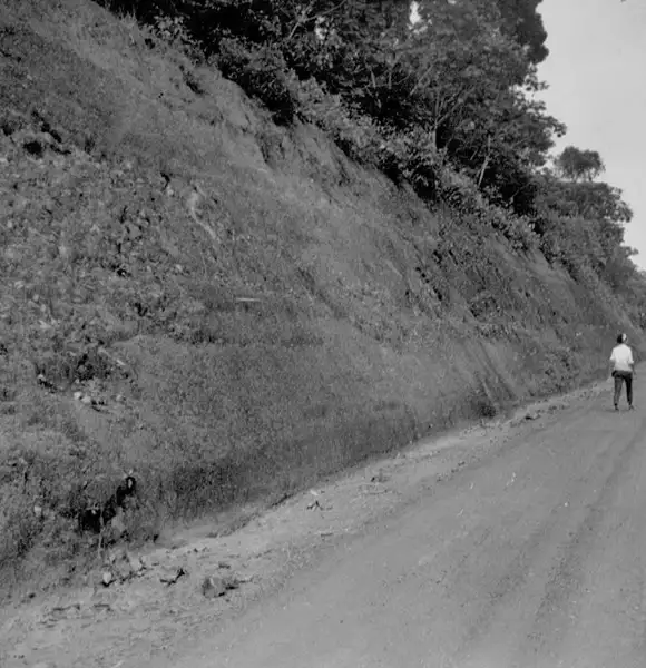 Foto 46: Corte mostrando a canga sobre o ponto soluvel amarelo no município de Itacoatiara (AM)
