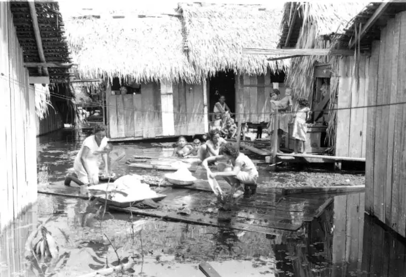 Foto 125: Família de caboclos lavando roupa na enchente em Manaus (AM)