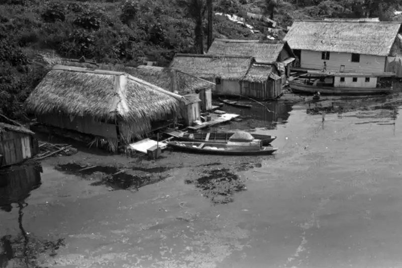 Foto 126: Casas flutuantes de modestos habitantes em Manaus (AM)