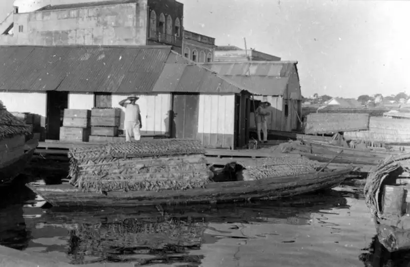 Foto 193: Embarcação coberta de palha em Manaus (AM)