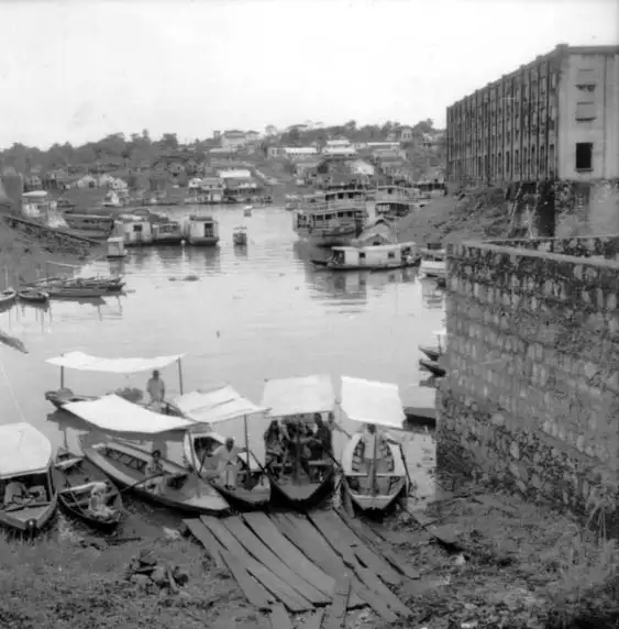 Foto 206: Barcos que atravessam igarapés em Manaus (AM)