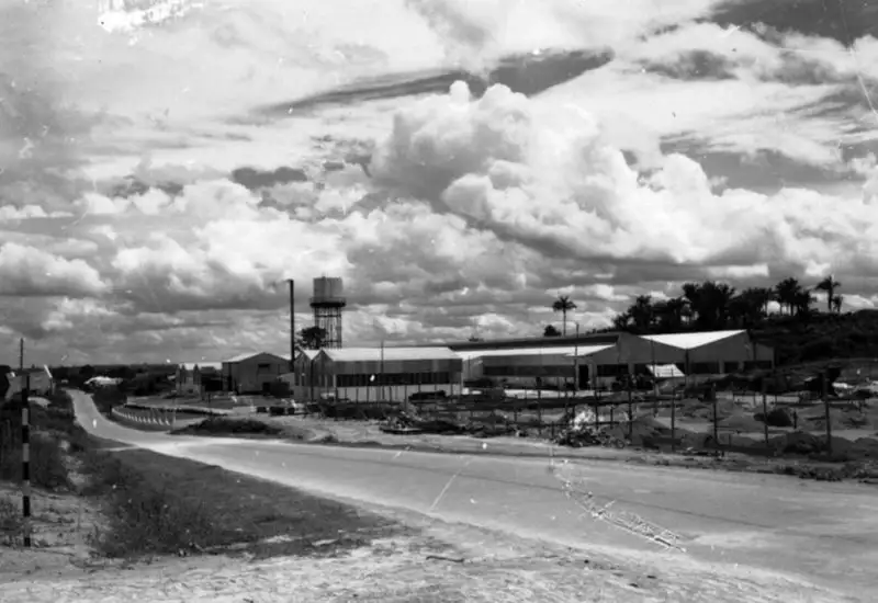 Foto 233: Usina de beneficiamento de juta em Manaus (AM)