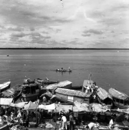 Foto 245: Vista do Rio Negro perto do mercado de Manaus (AM)
