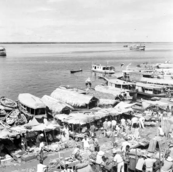 Foto 248: Rio Negro perto do mercado de Manaus (AM)