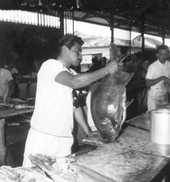 Foto 250: Mercado de peixes vendo-se tambaqui em Manaus (AM)