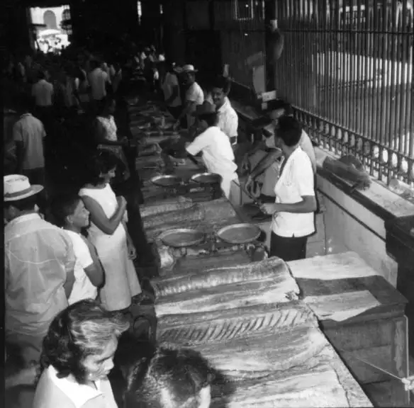 Foto 252: Aspecto interno do mercado de peixe vendo-se postas de pirarucu em Manaus (AM)