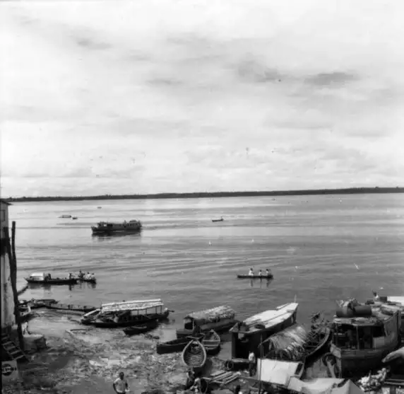 Foto 259: Rio Negro em Manaus (AM)
