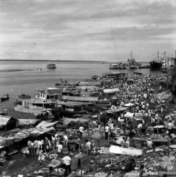 Foto 261: Feira ao lado do mercado de Manaus (AM)