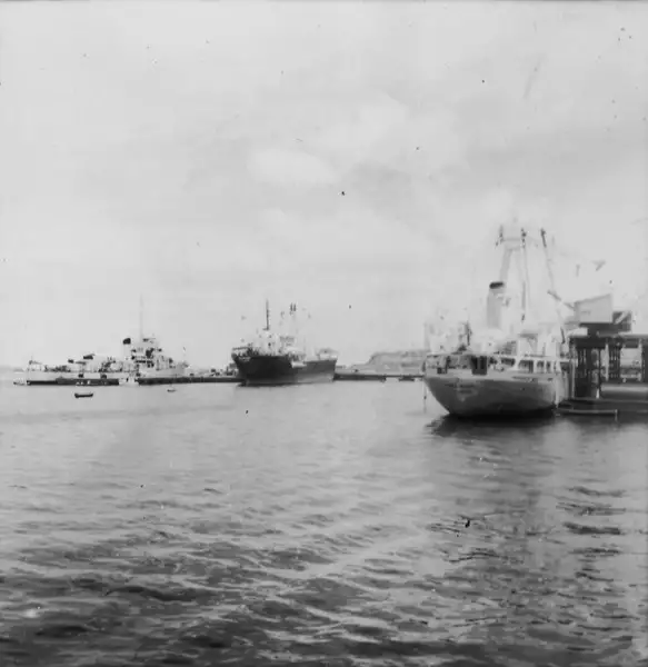 Foto 277: Navios marítimos no Porto de Manaus (AM)