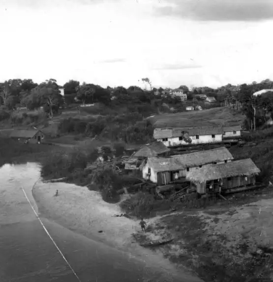 Foto 281: Vista do Igarapé São Jorge em Manaus (AM)