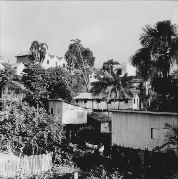 Foto 301: Casas de madeira perto da Avenida Silves em Manaus (AM)
