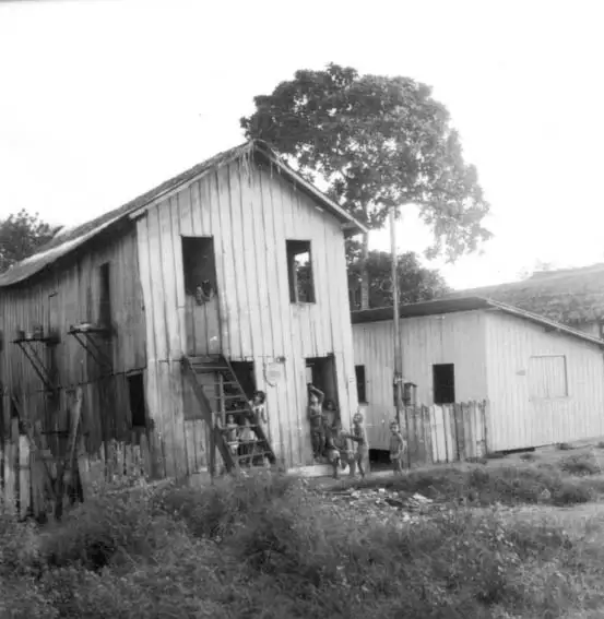 Foto 308: Casa de madeira, construção típica da região em Manaus (AM)