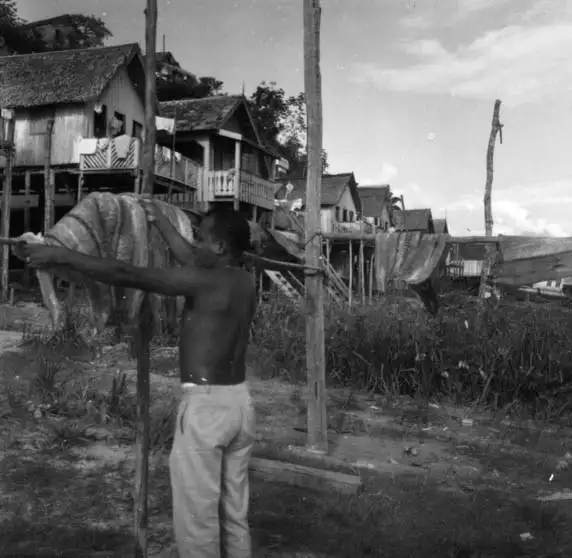 Foto 318: Pescador secando pirarucu em Manaus (AM)