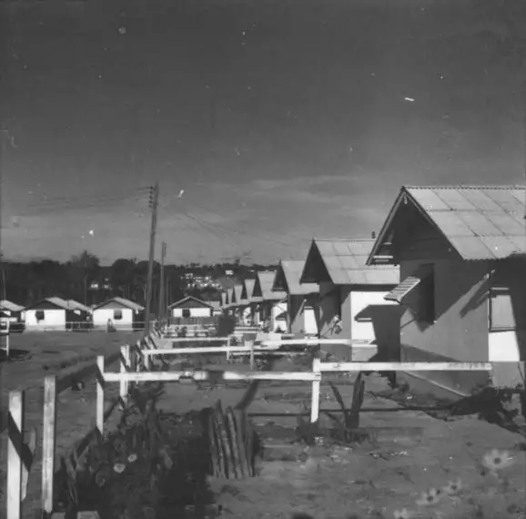 Foto 320: Bairro de Flores vendo-se casas populares da COHAB em Manaus (AM)
