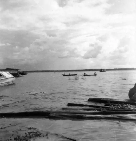 Foto 352: Canoas no Rio Negro em Manaus (AM)