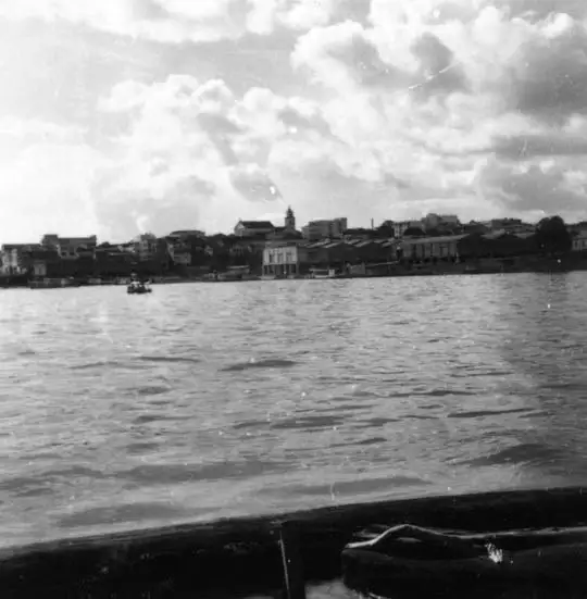 Foto 354: Manaus vista pelo Rio Negro (AM)