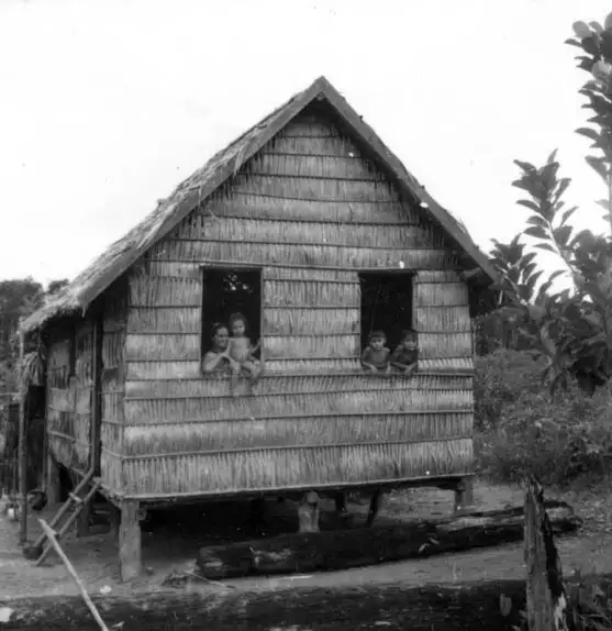 Foto 365: Casa de palha de um colono em Manaus (AM)