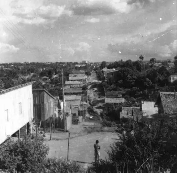 Foto 378: Bairro São José vendo-se casas pobres habitadas por antigos moradores das casas flutuantes em Manaus (AM)