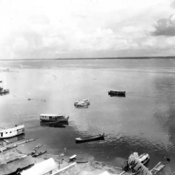 Foto 381: Vista do Rio Negro vendo-se à margem do Cocho em Manaus (AM)