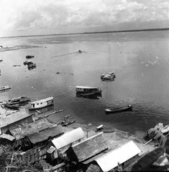 Foto 382: Vista do Rio Negro vendo-se à margem do Cocho em Manaus (AM)