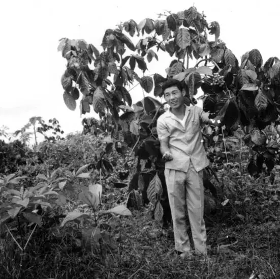 Foto 403: Agrônomo ao lado de um pé de guaraná em Manaus (AM)
