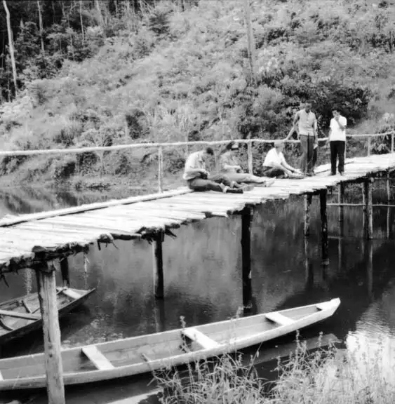 Foto 422: Ponte sobre o Igarapé na Companhia Brasileira de Plantações em Manaus (AM)