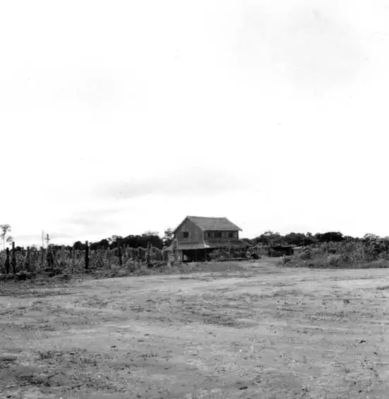 Foto 428: Casa de colono japonês à margem da AM-1 notando-se o pimental em frente a casa em Manaus (AM)