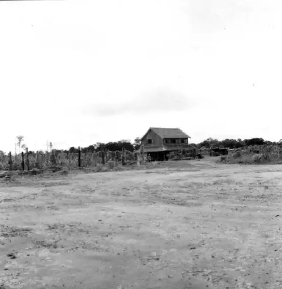 Foto 429: Casa de colono japonês à margem da AM-1 notando-se o pimental em frente a casa em Manaus (AM)