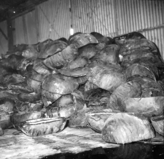 Foto 472: Pelas de borracha na Companhia Nacional de Borracha S/A em Manaus (AM)