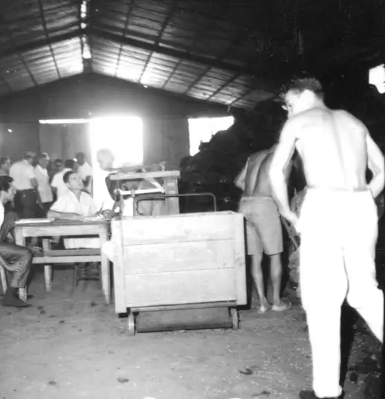 Foto 473: Interior da Companhia Nacional de Borracha vendo-se a balança para pesagem da borracha em Manaus (AM)