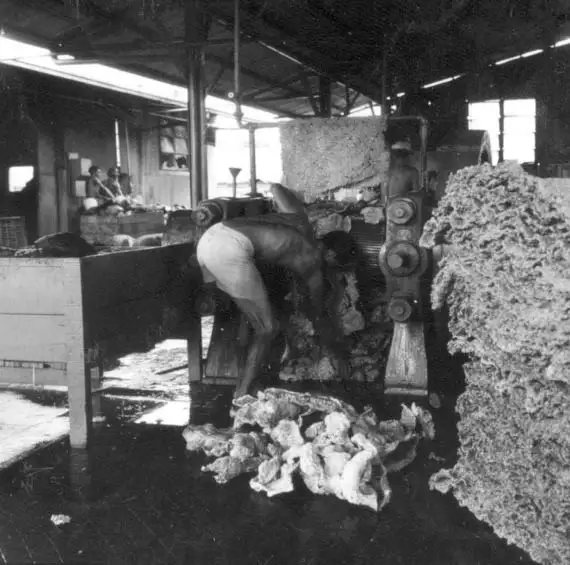 Foto 477: Interior da Companhia Nacional de Borracha vendo-se a borracha em crepe em Manaus (AM)