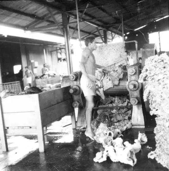 Foto 478: Interior da Companhia Nacional de Borracha vendo-se a borracha em crepe em Manaus (AM)