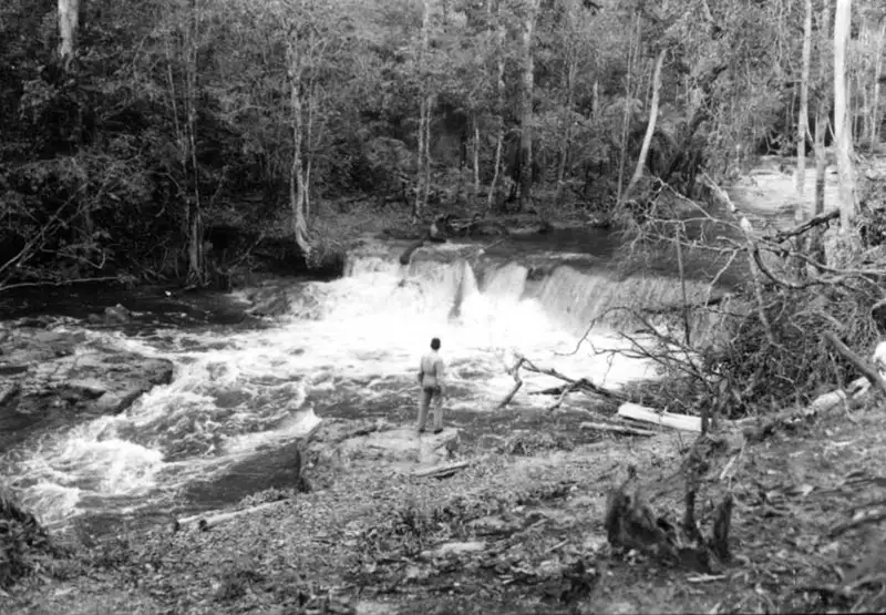 Foto 482: Cachoeira de Tarumã sobre arenito ao norte de Manaus : Município de Manaus
